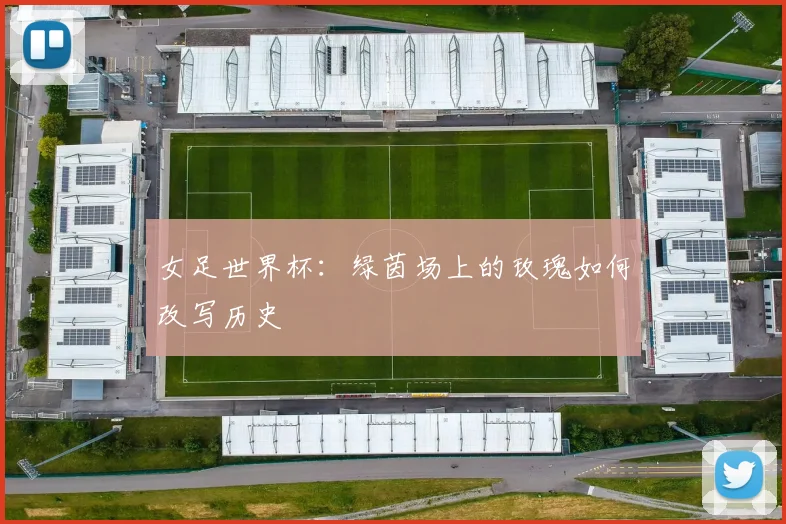 女足世界杯：绿茵场上的玫瑰如何改写历史