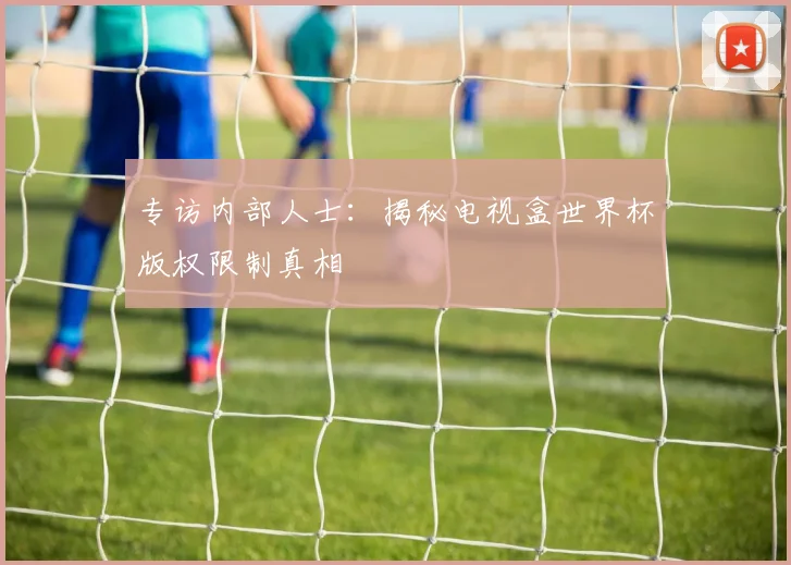 专访内部人士：揭秘电视盒世界杯版权限制真相