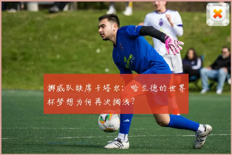 挪威队缺席卡塔尔：哈兰德的世界杯梦想为何再次搁浅？