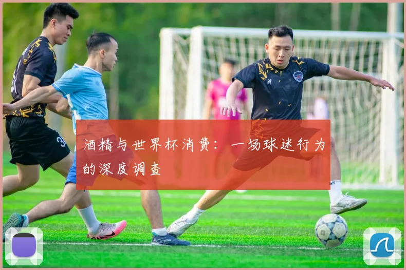 酒精与世界杯消费：一场球迷行为的深度调查