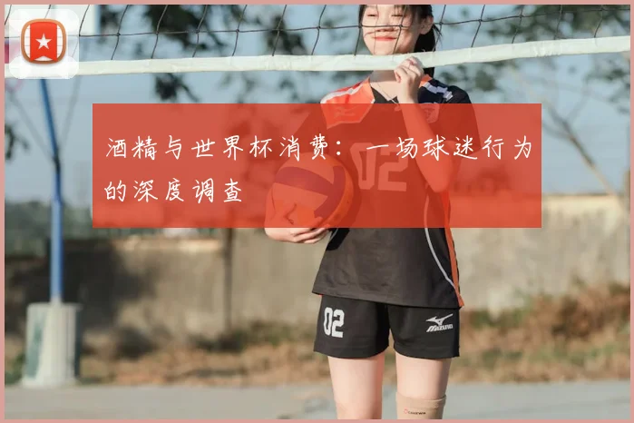 酒精与世界杯消费：一场球迷行为的深度调查