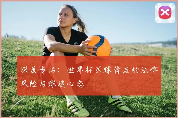 深度专访：世界杯买球背后的法律风险与球迷心态
