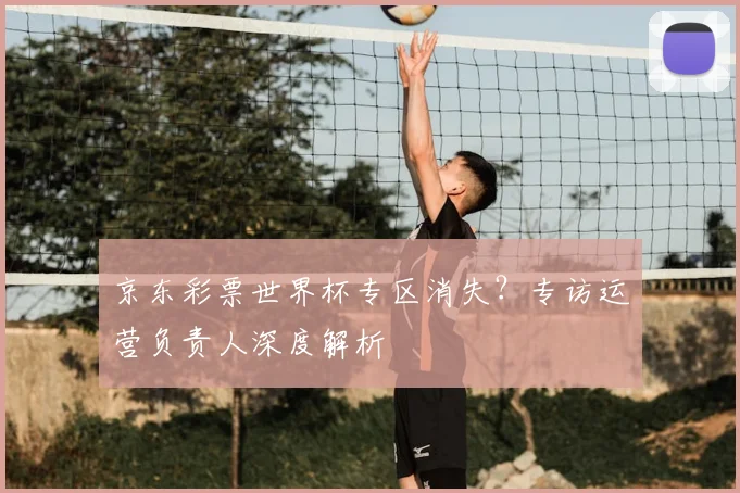 京东彩票世界杯专区消失？专访运营负责人深度解析