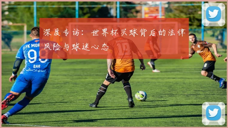 深度专访：世界杯买球背后的法律风险与球迷心态
