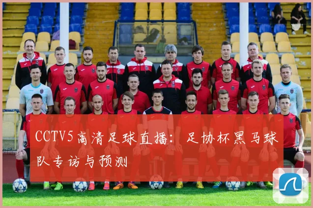 CCTV5高清足球直播:足协杯黑马球队专访与预测