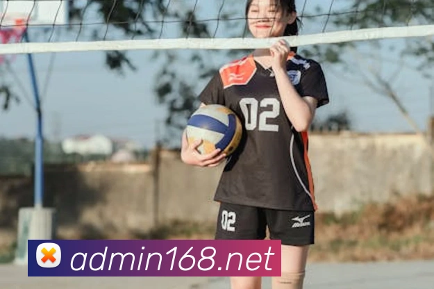 App Interface Preview