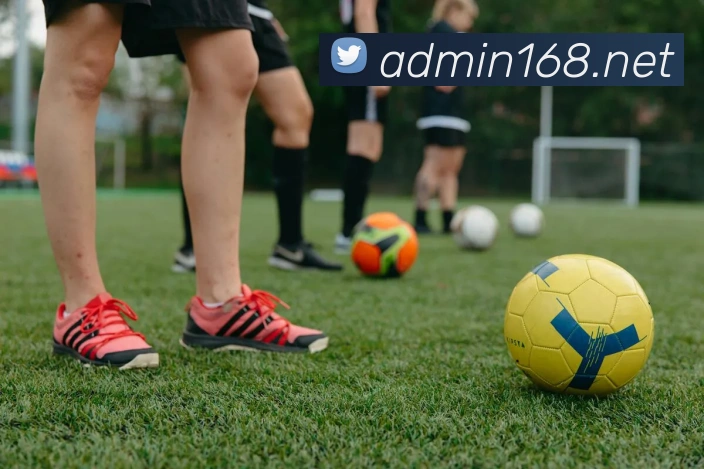 贝博app体育登录入口APP 封面图